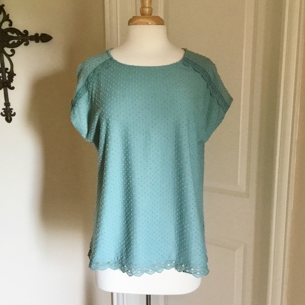NWT Daniel Rainn Clip Dot Knit Top XL